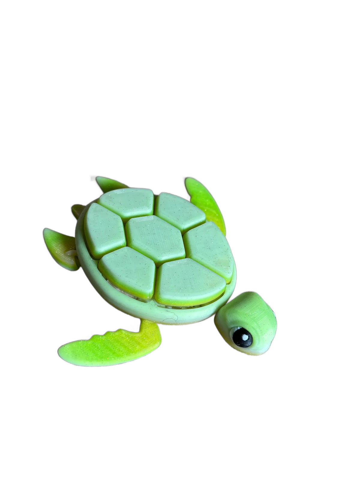 Louie Fidget Turtle