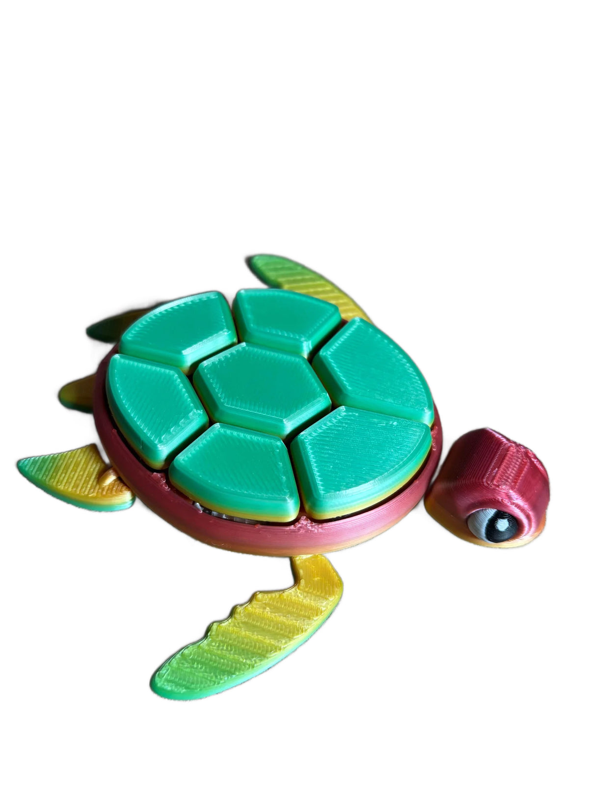 Isaac Fidget Turtle