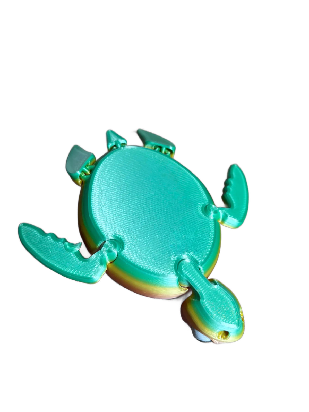 Isaac Fidget Turtle