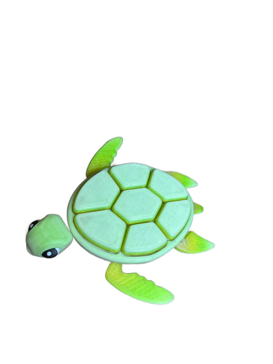 Twinkle Twinkle Fidget Turtle