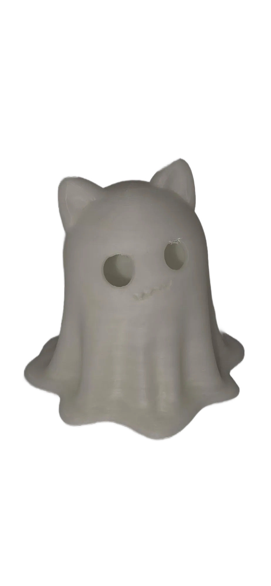 Glow in the Dark Ghost Cat