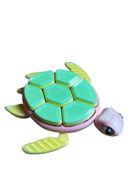Shelly Fidget Turtle
