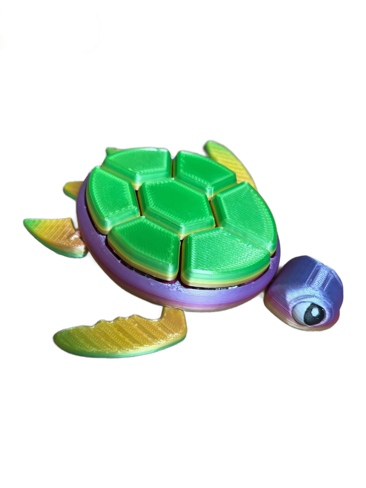 Echo Fidget Turtle