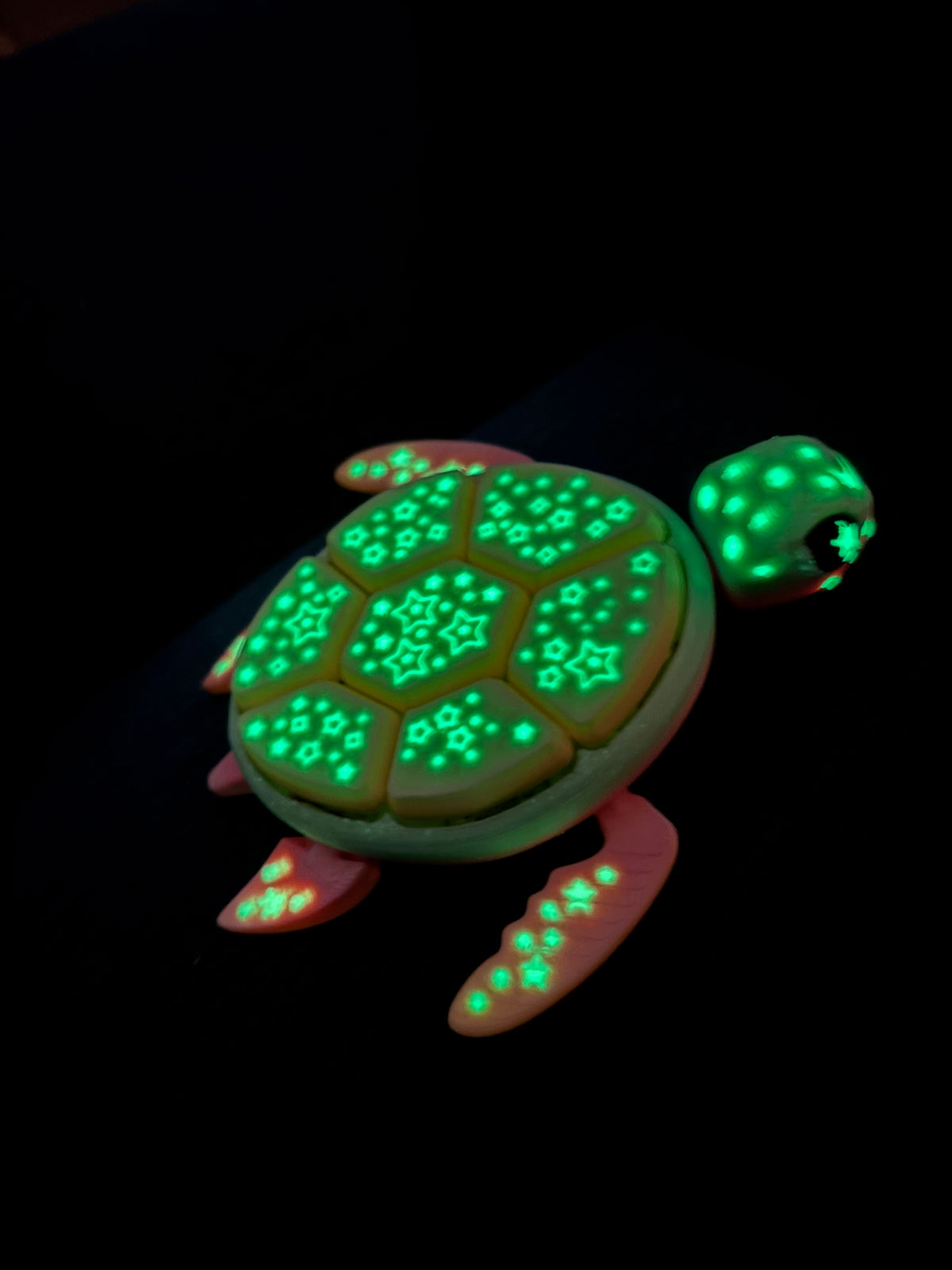 Starlight Fidget Turtle