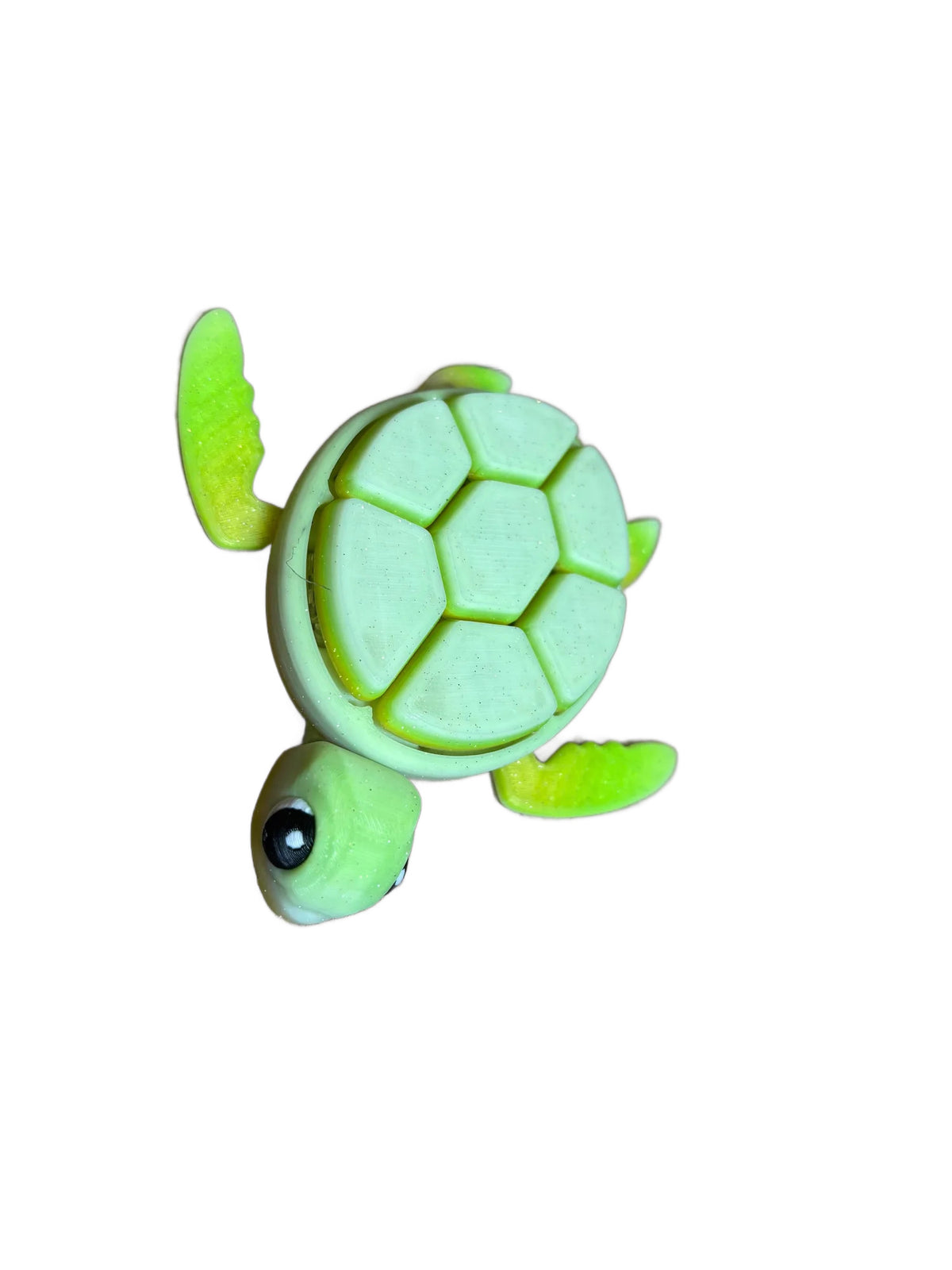 Twinkle Twinkle Fidget Turtle