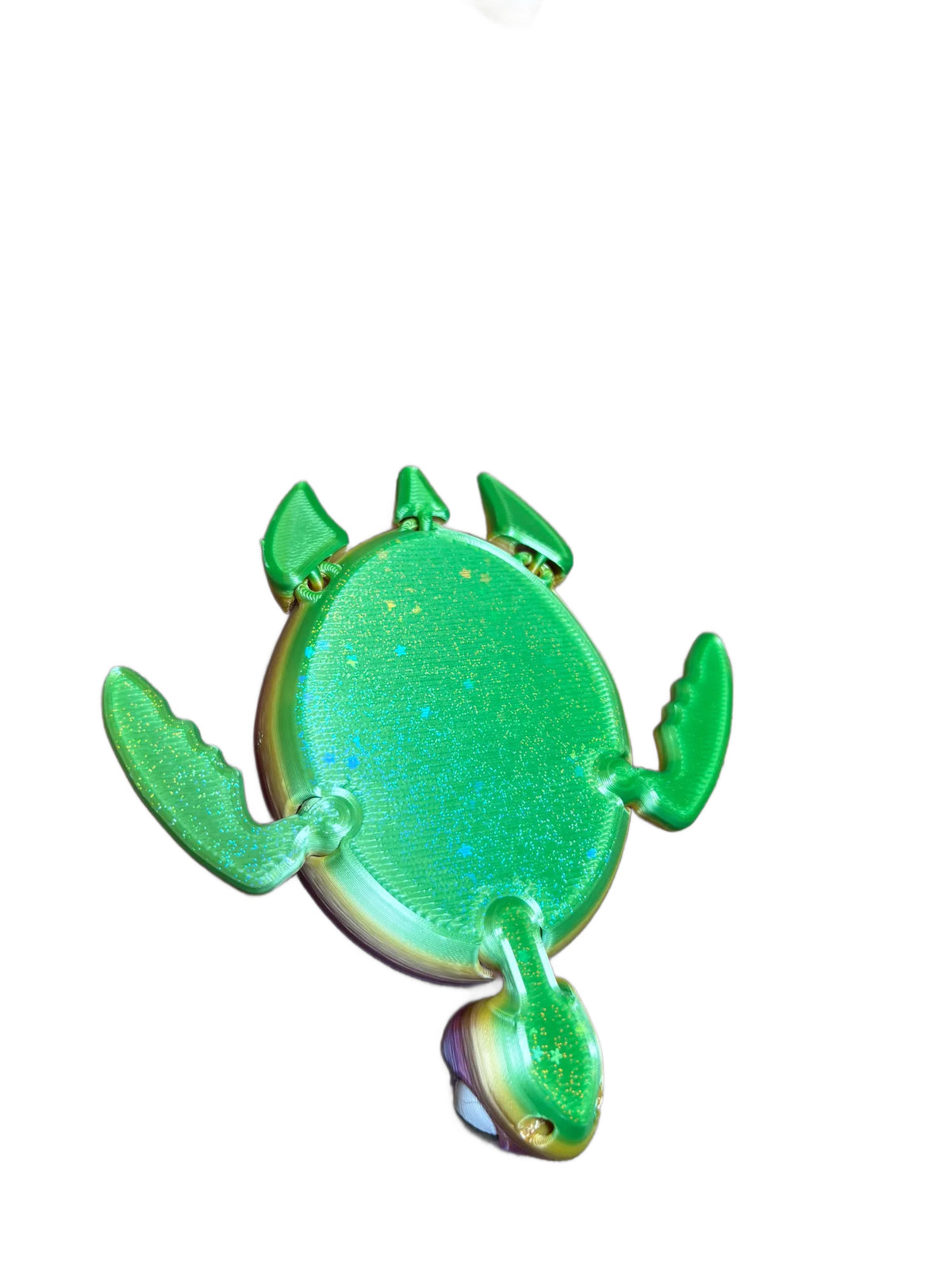 Echo Fidget Turtle