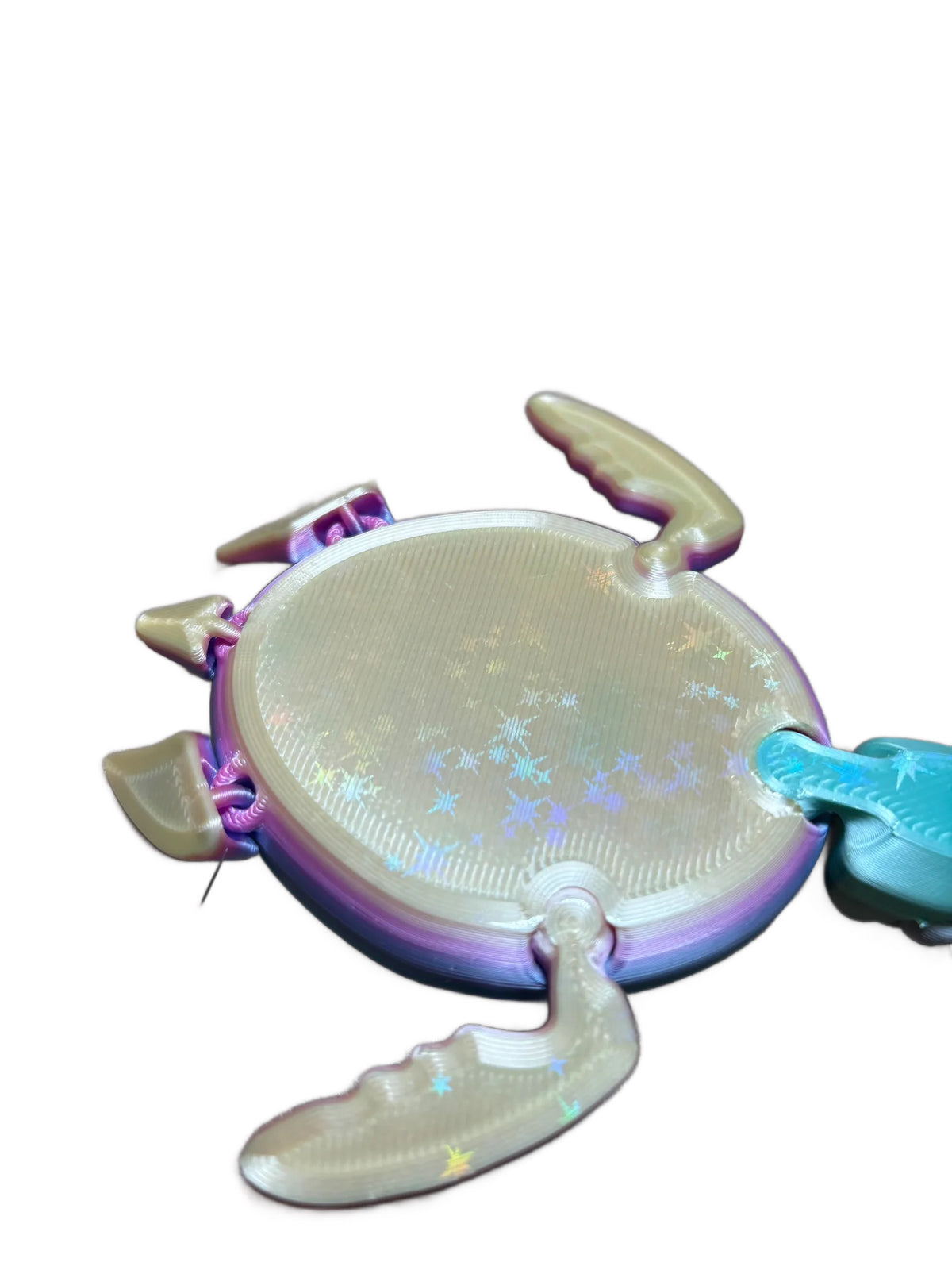 Mellow Fidget Turtle