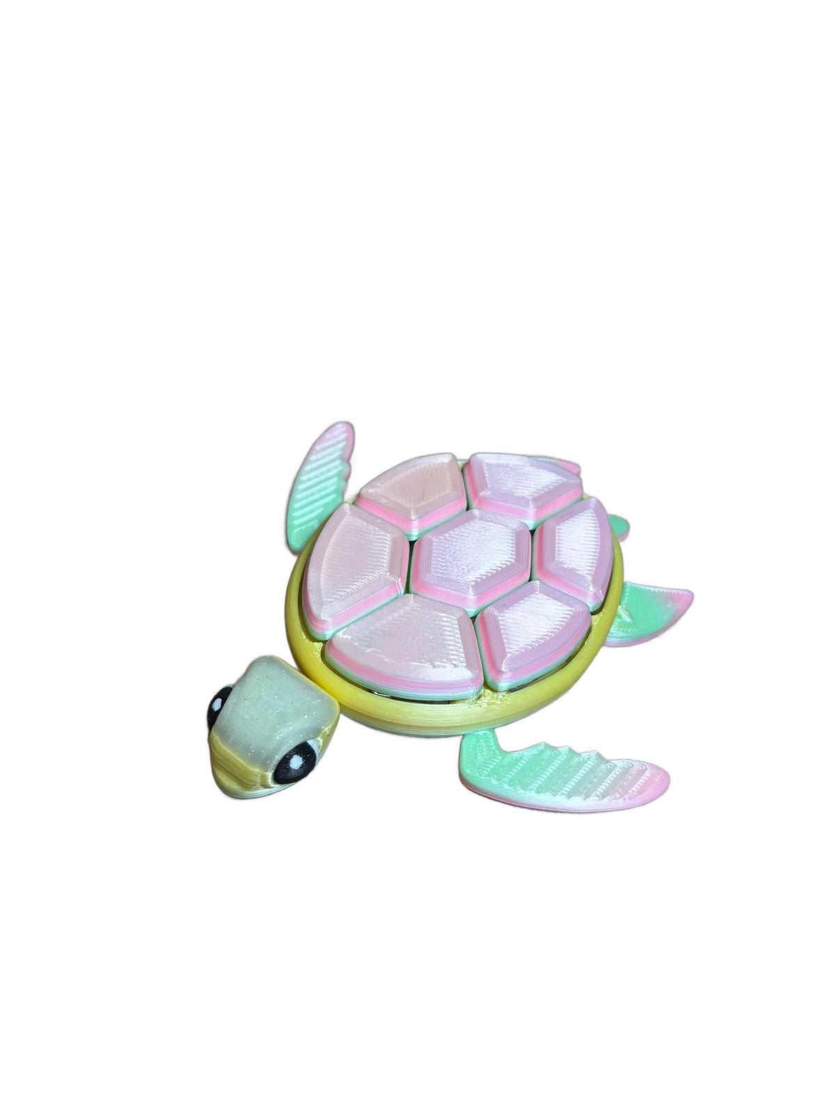 Destiny Fidget Turtle