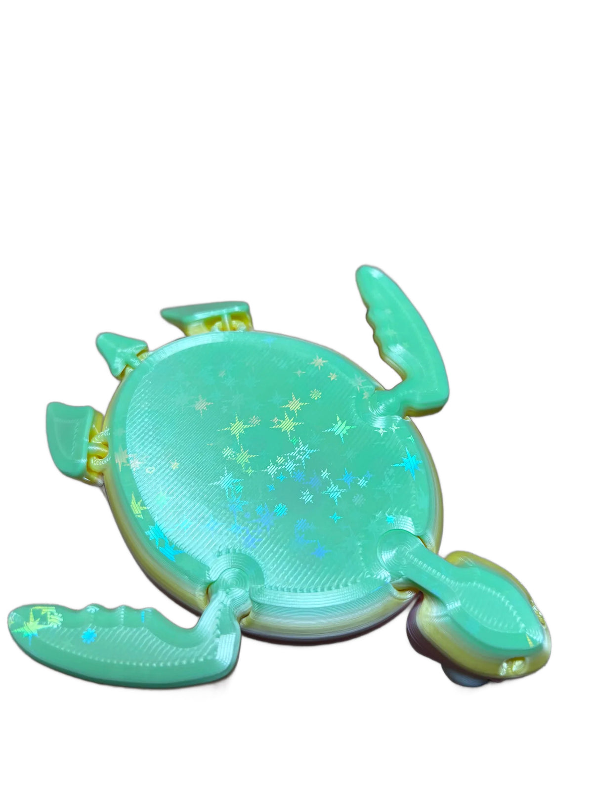 Shelly Fidget Turtle