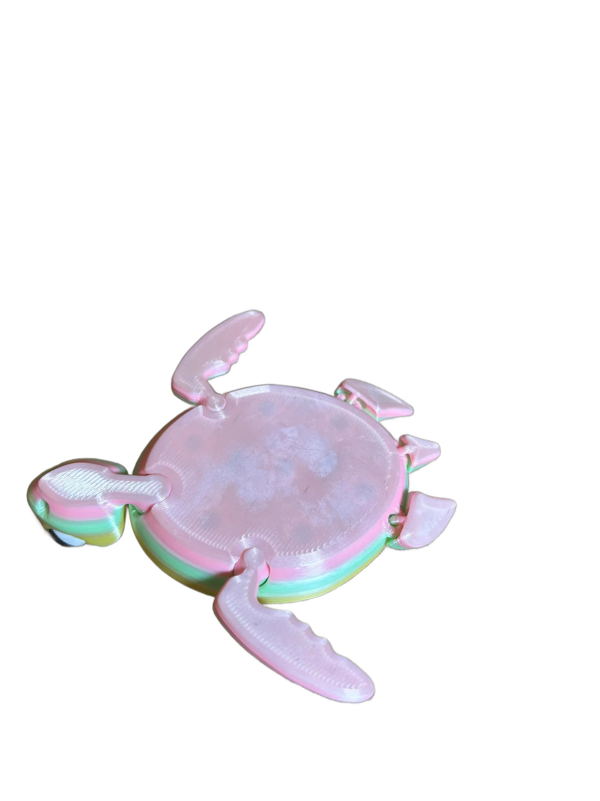 Destiny Fidget Turtle
