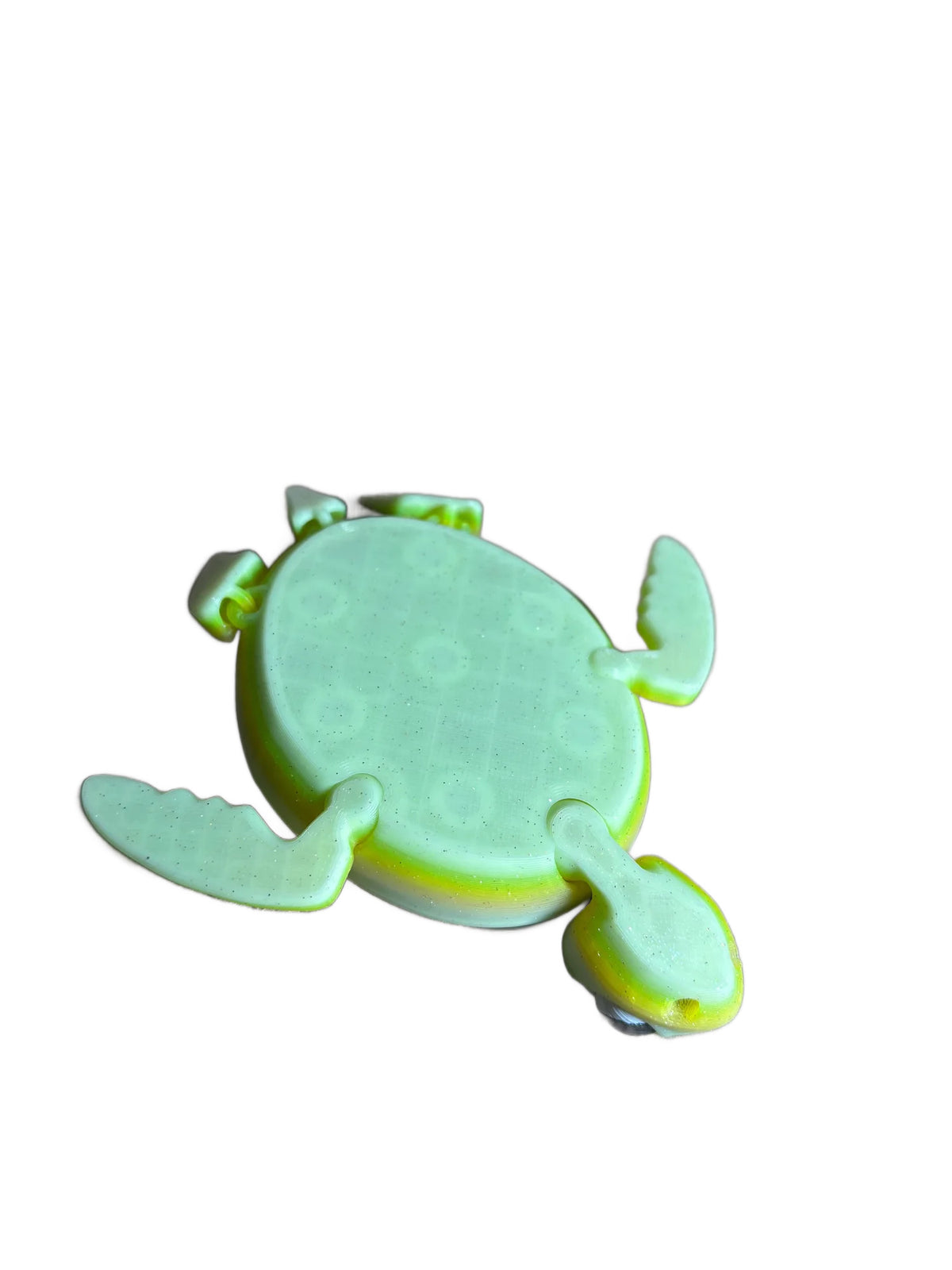 Louie Fidget Turtle
