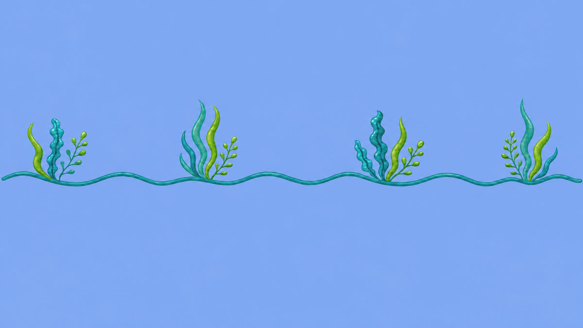 Seaweed divider